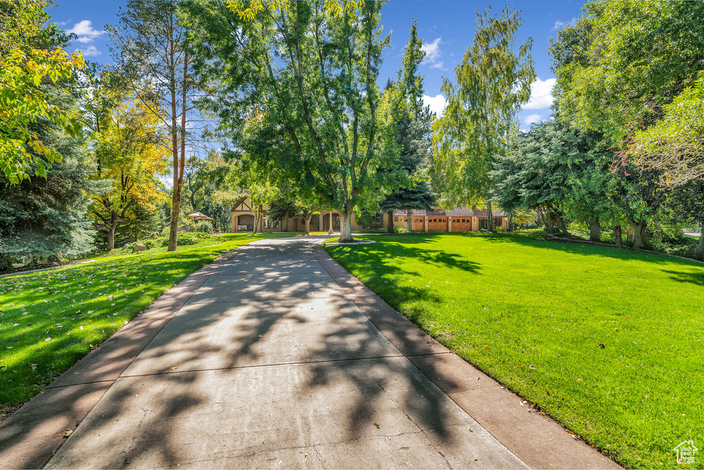 View of grassy yard with concrete driveway