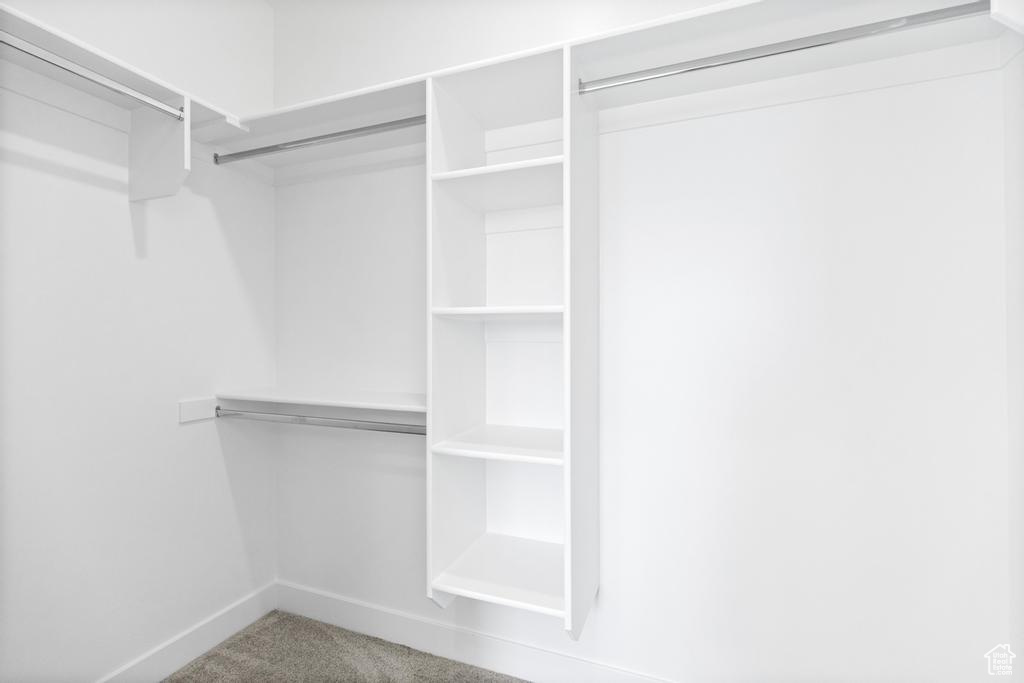 Walk in closet with carpet flooring