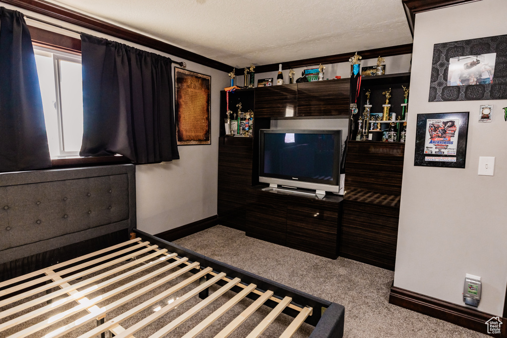 Carpeted living area with baseboards