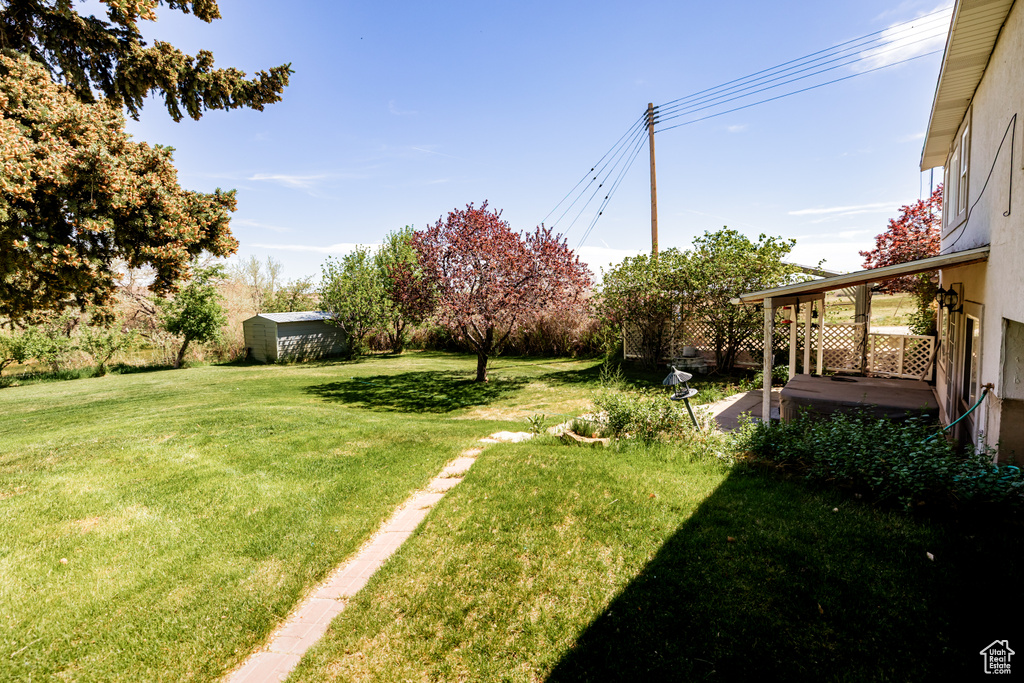 View of grassy yard with an outdoor structure, a shed, and a patio area