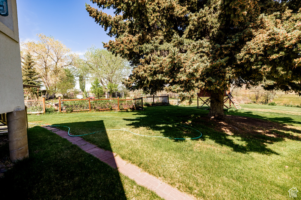 View of green lawn