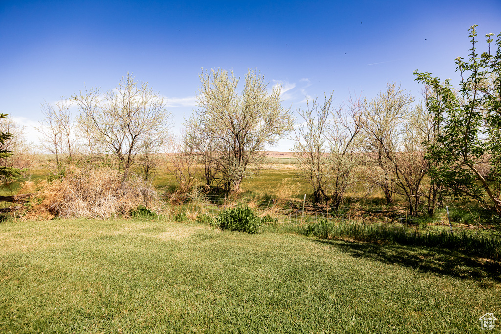 View of green lawn with a rural view