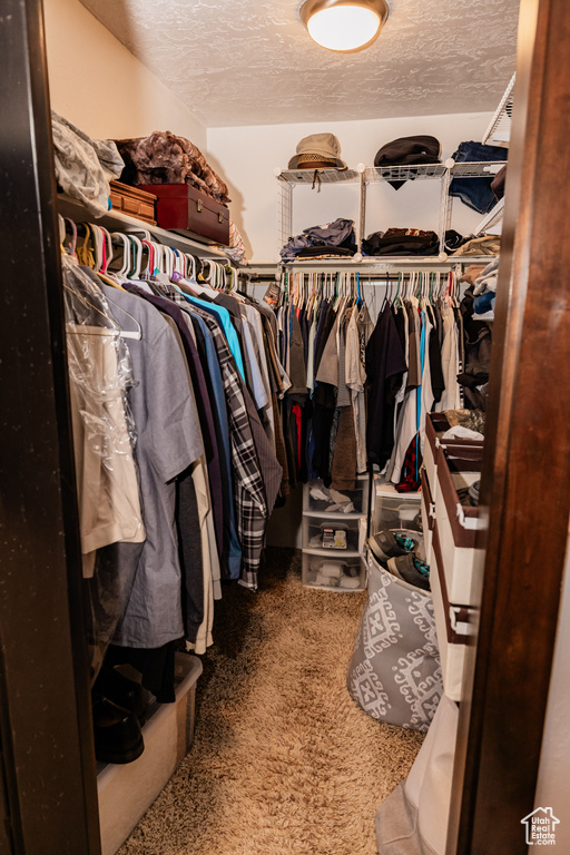 Spacious closet featuring carpet flooring