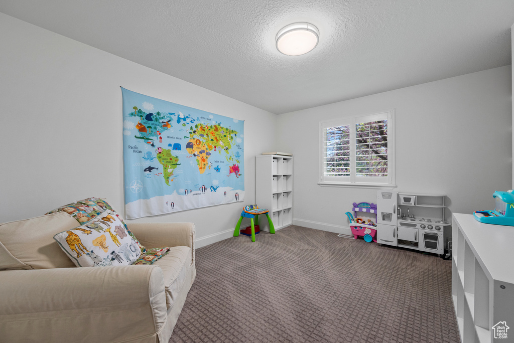 Rec room featuring carpet floors, a textured ceiling, and baseboards