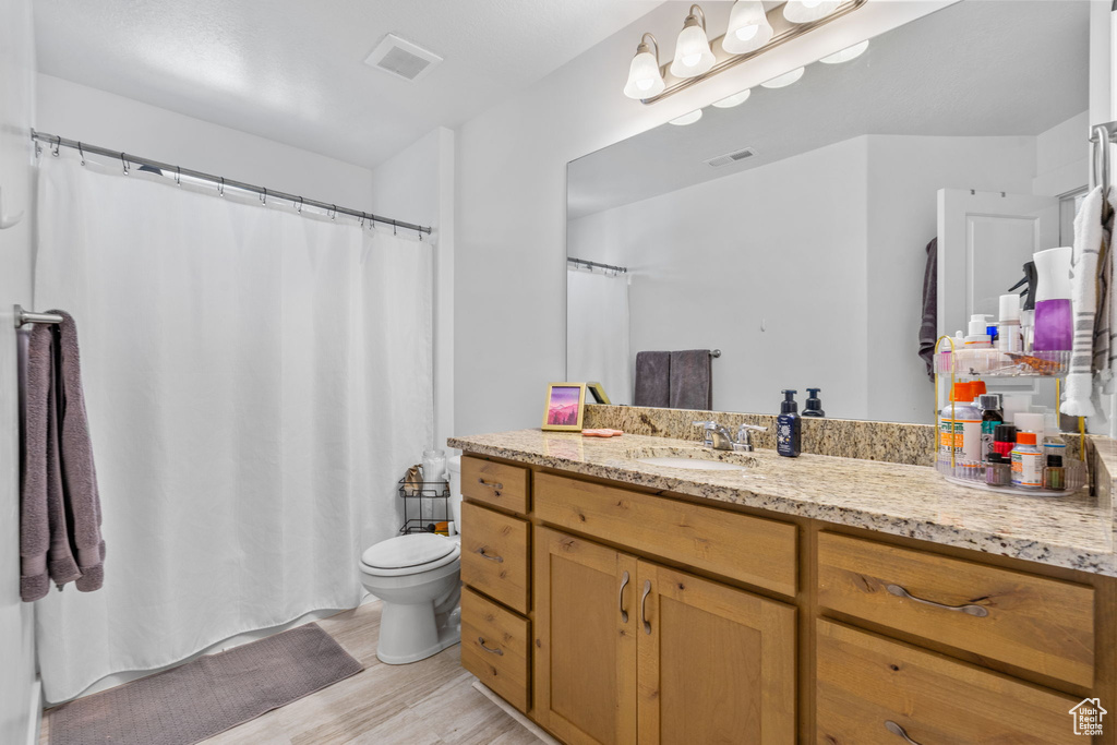 Bathroom with wood finished floors, toilet, and vanity