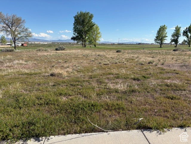 View of yard featuring a view of rural / pastoral area