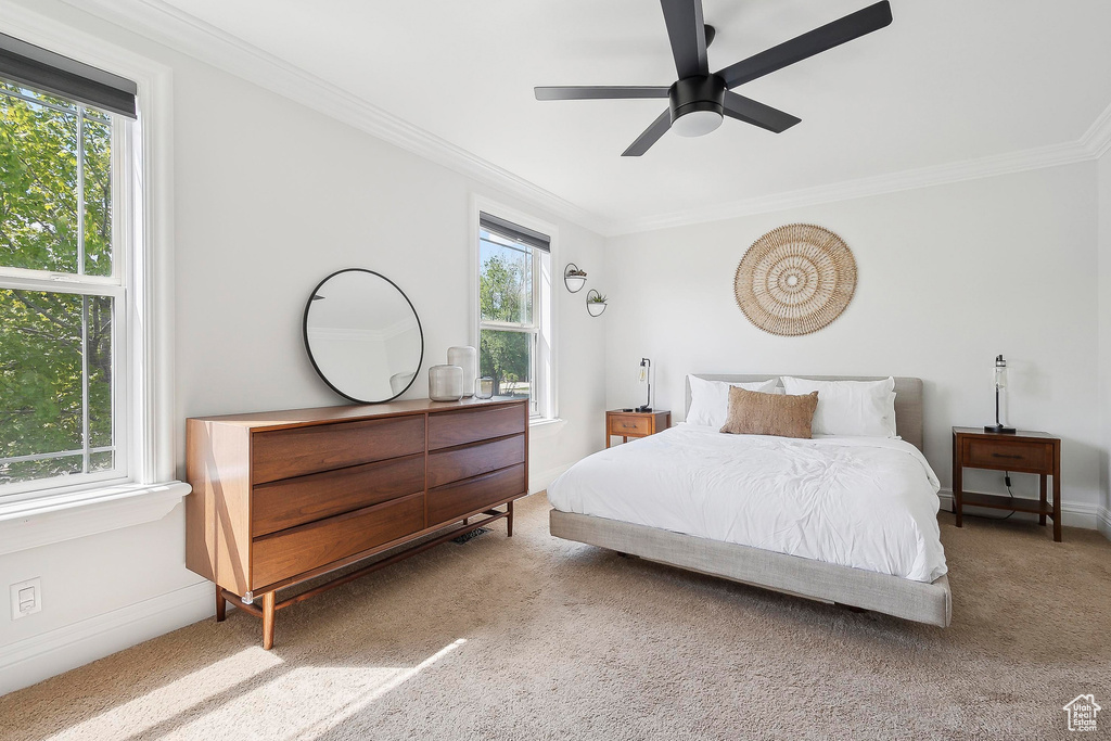 Bedroom with carpet, ornamental molding, baseboards, and a ceiling fan