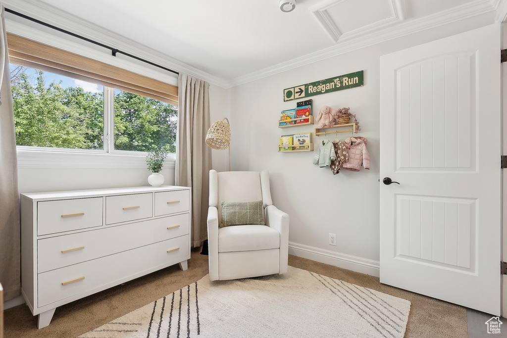 Living area featuring crown molding, carpet flooring, baseboards, and attic access