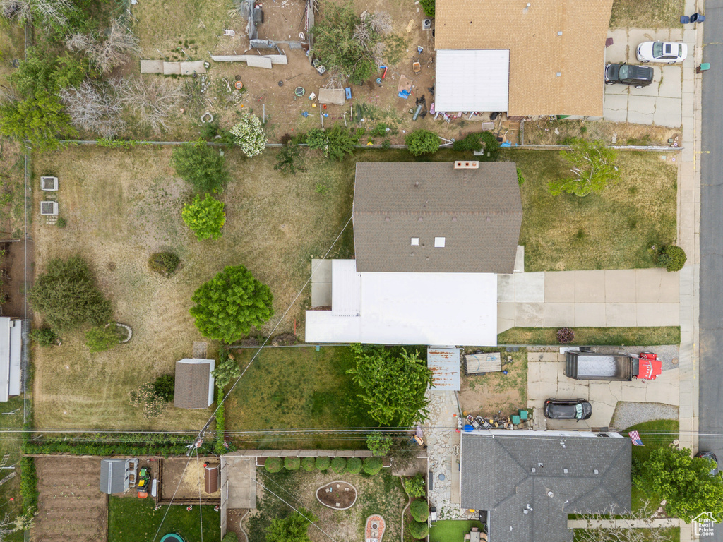 Bird\\\'s eye view