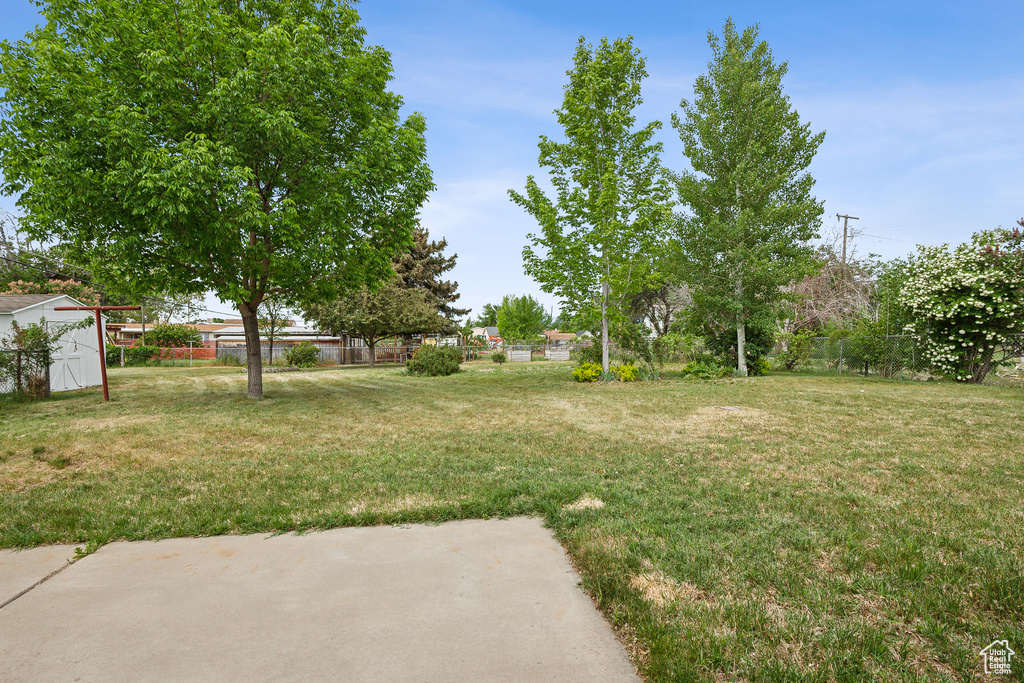 View of yard featuring a patio area