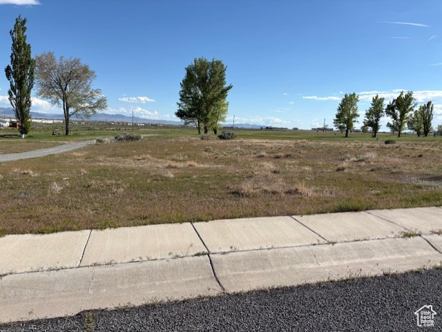 View of yard featuring a view of rural / pastoral area
