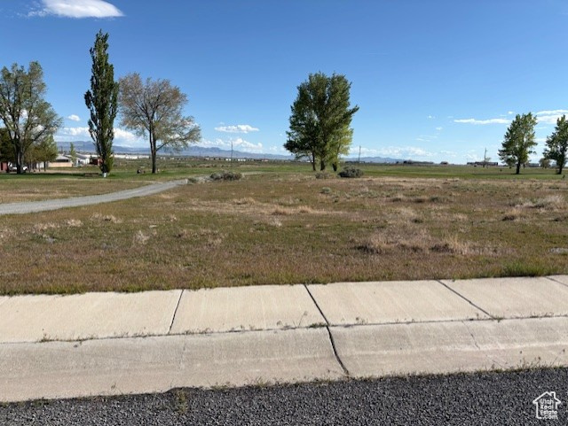 View of yard featuring a view of rural / pastoral area