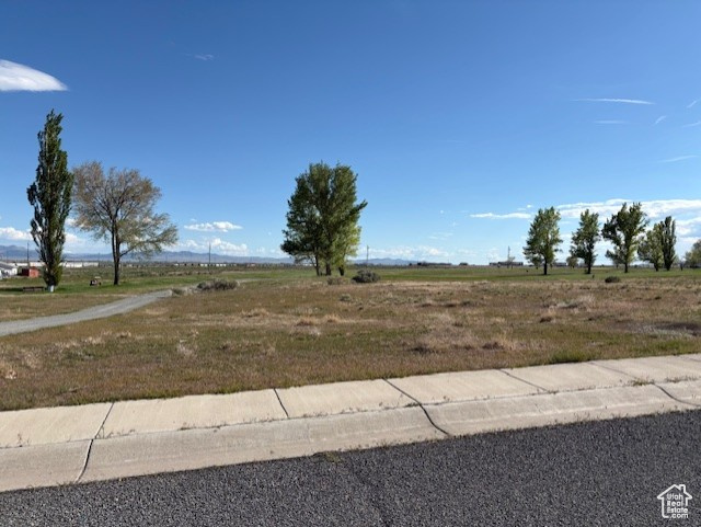 View of yard with a view of rural / pastoral area