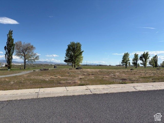 View of yard with a rural view