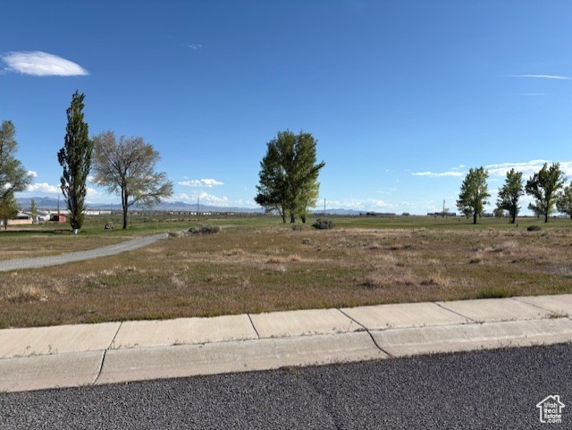 View of yard with a rural view