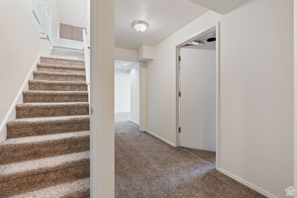 Stairway with carpet flooring and baseboards