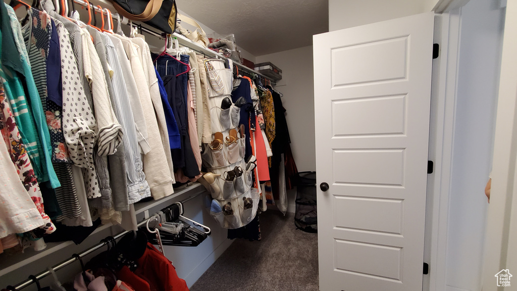 Walk in closet featuring carpet flooring