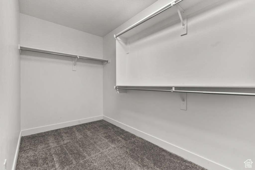 Walk in closet with dark carpet