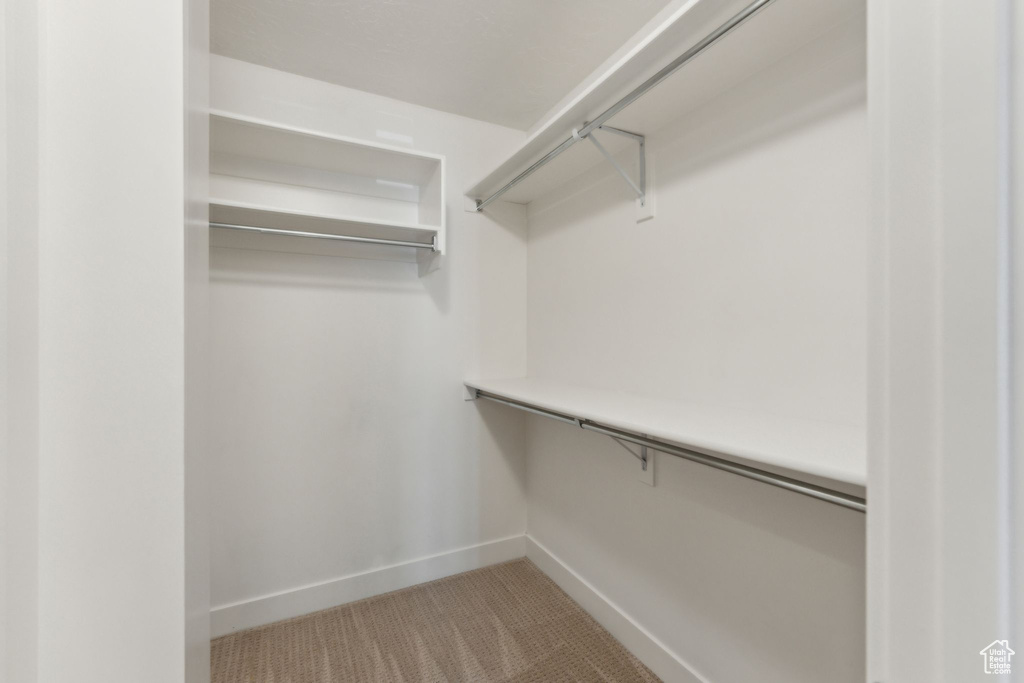 Walk in closet featuring carpet flooring