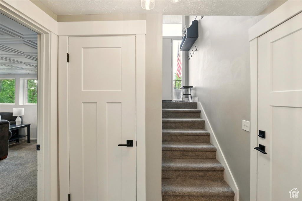 Stairs featuring carpet and baseboards