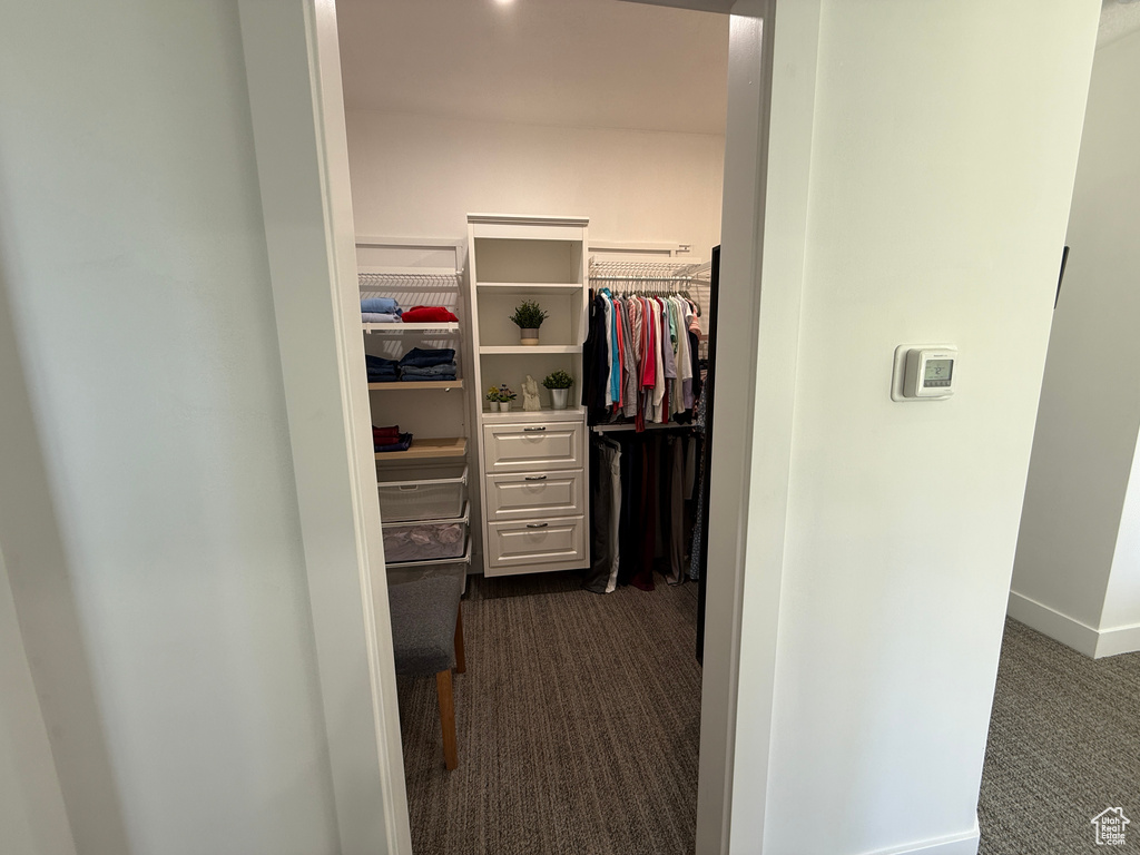 Spacious closet with dark colored carpet