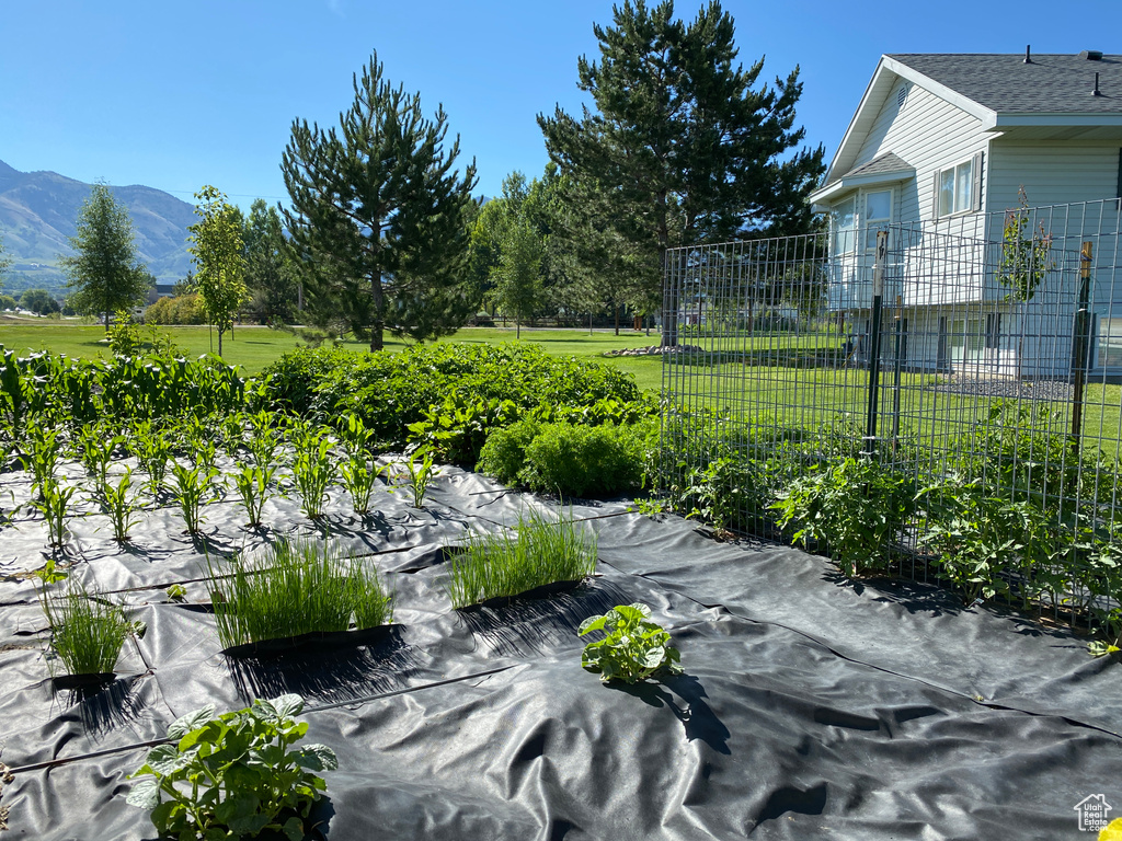 View of community with a mountain view and a lawn