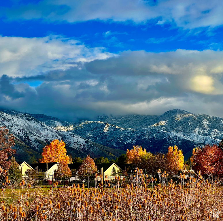 Mountain view