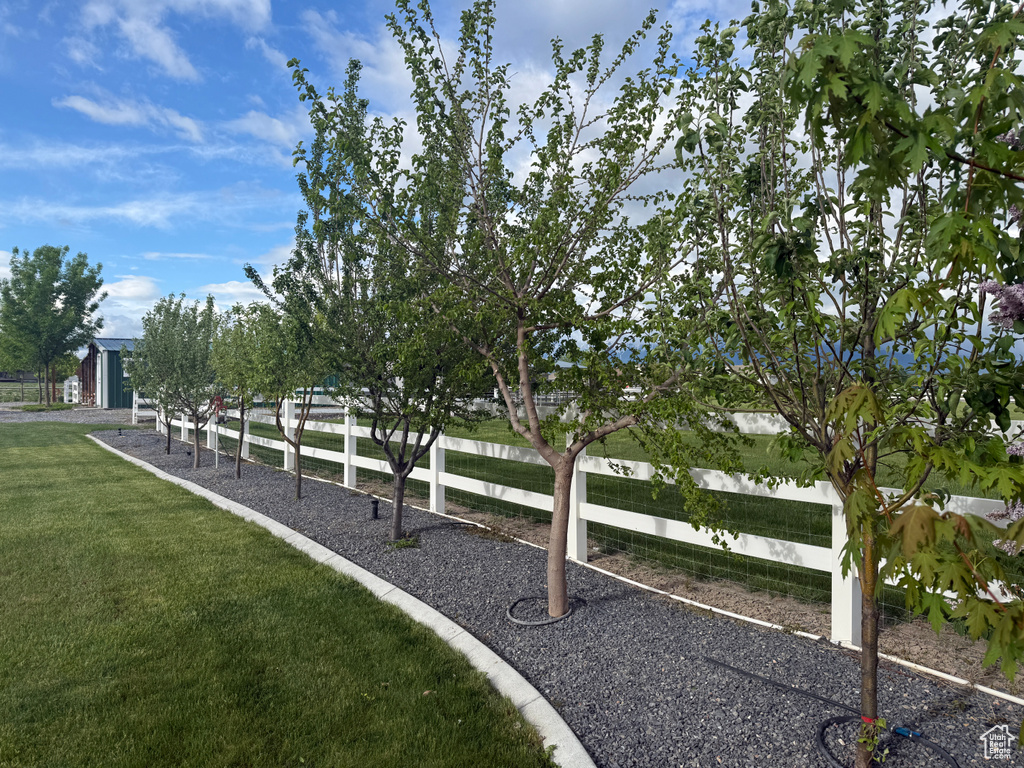 View of community with a yard