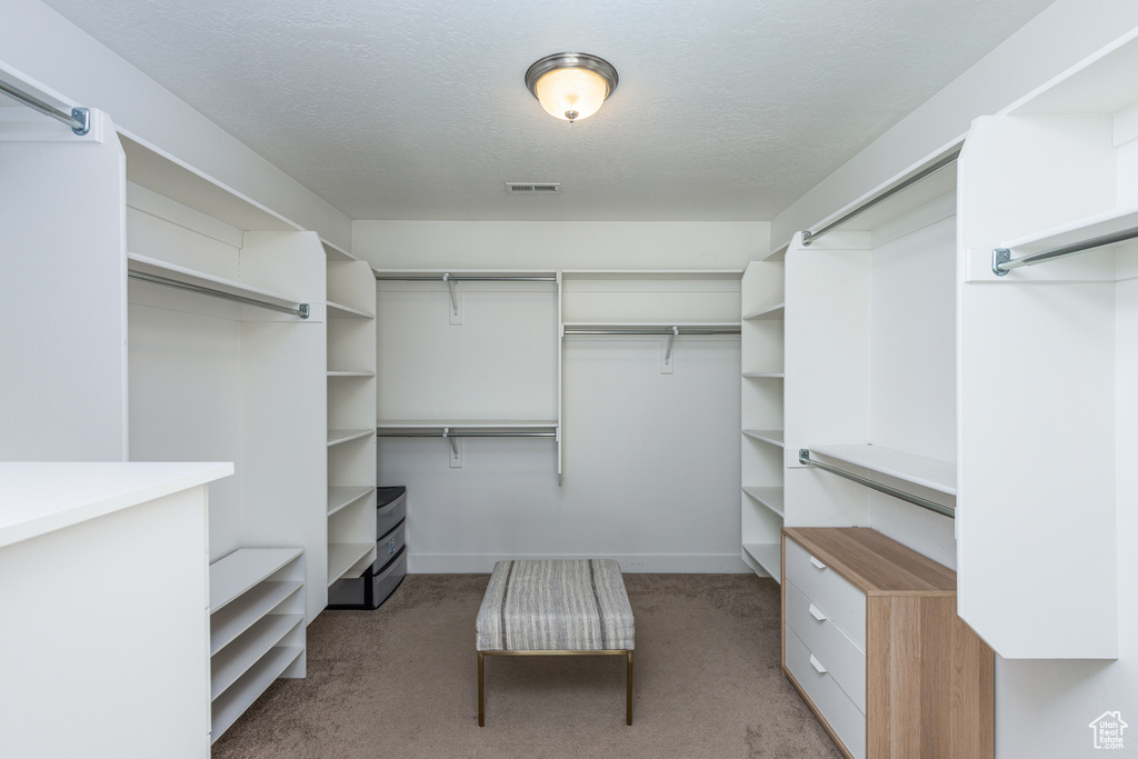 Walk in closet with light carpet