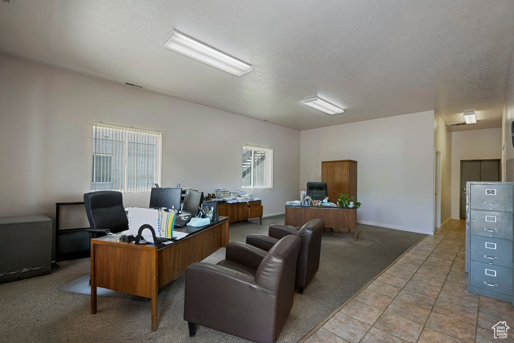 Office featuring light colored carpet