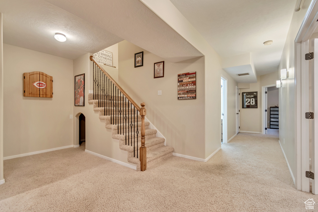 Stairs with carpet and baseboards