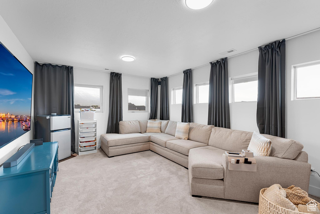 Living area with light carpet