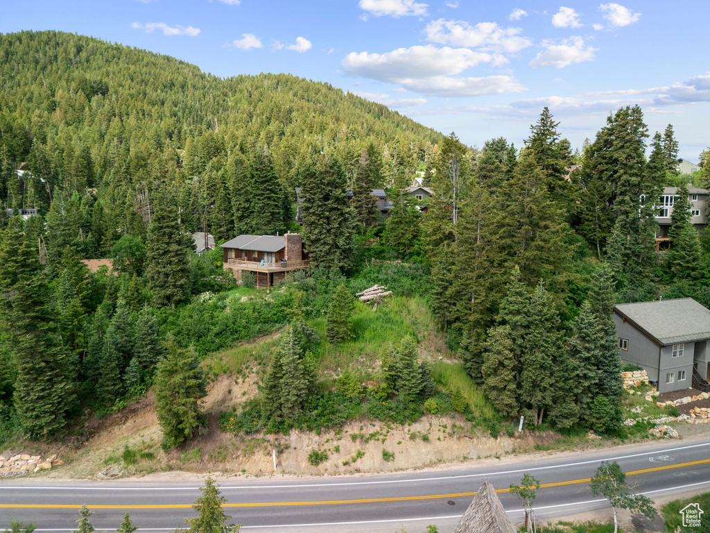 View of mountain background with a heavily wooded area
