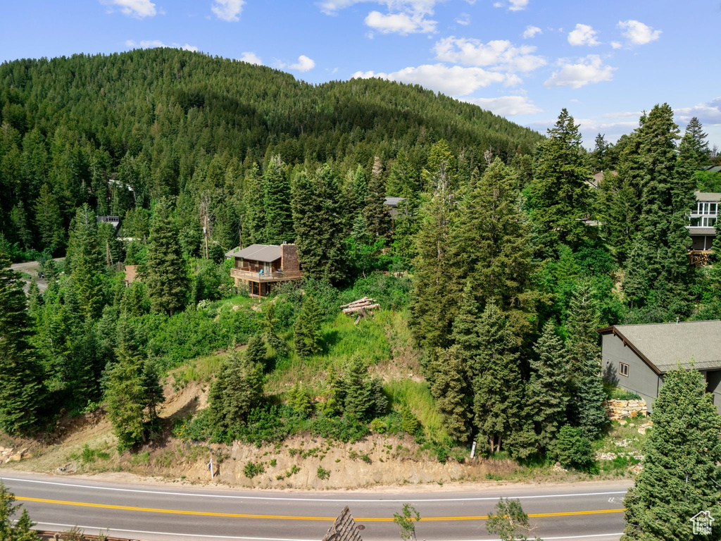 View of mountain background with a forest