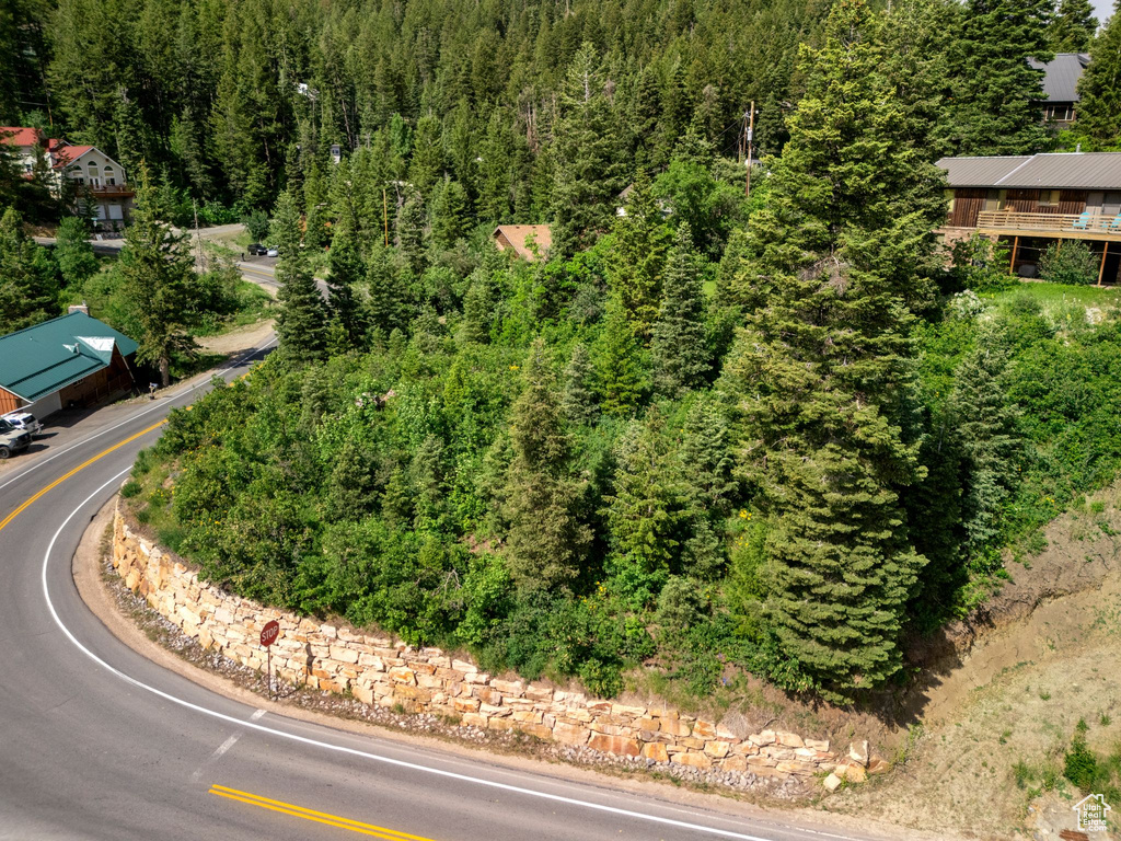 Drone / aerial view of a heavily wooded area
