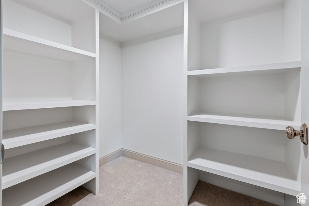 Walk in closet featuring carpet flooring