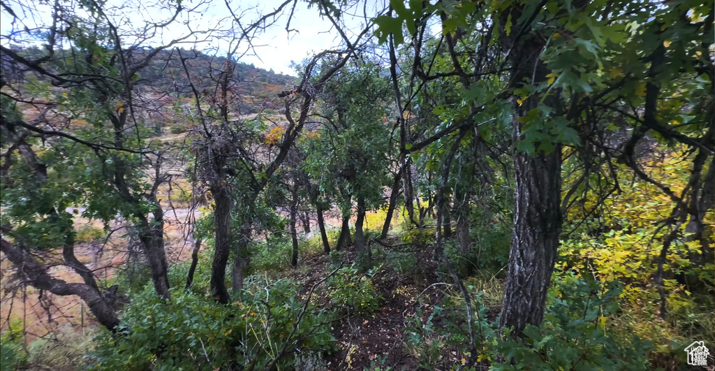 View of tree filled area featuring a mountain view
