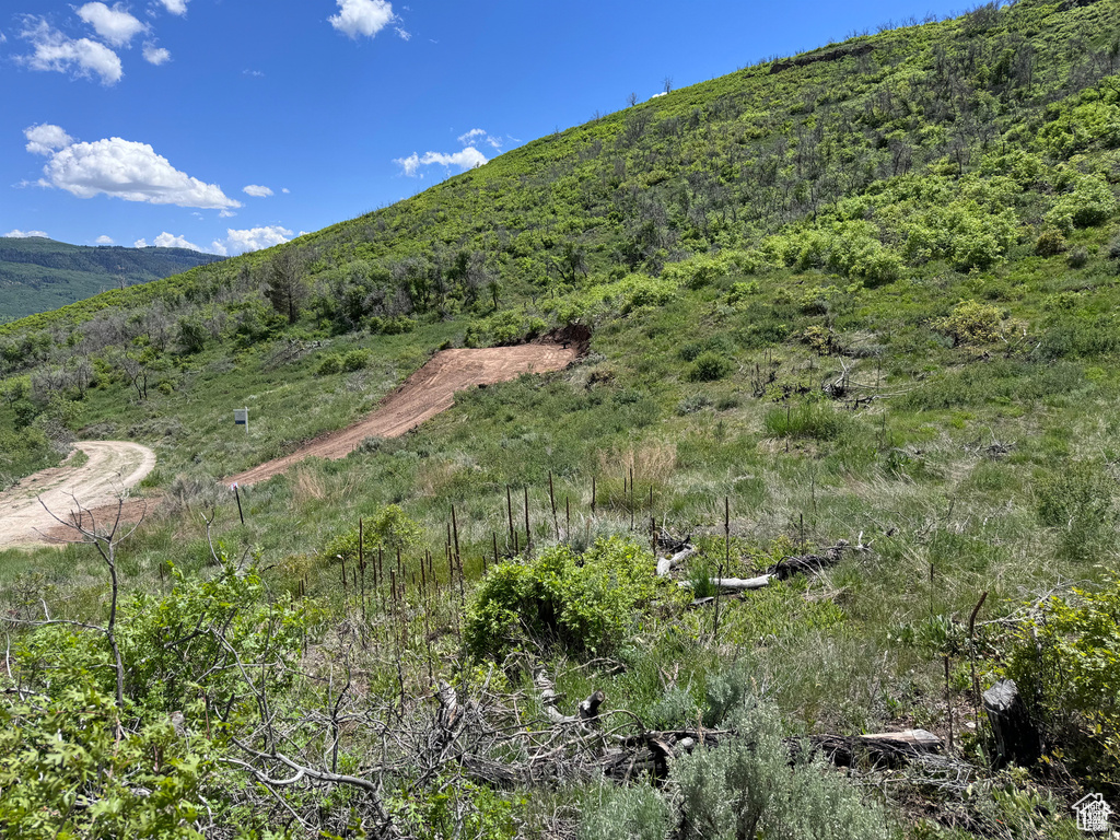 View of mountain backdrop