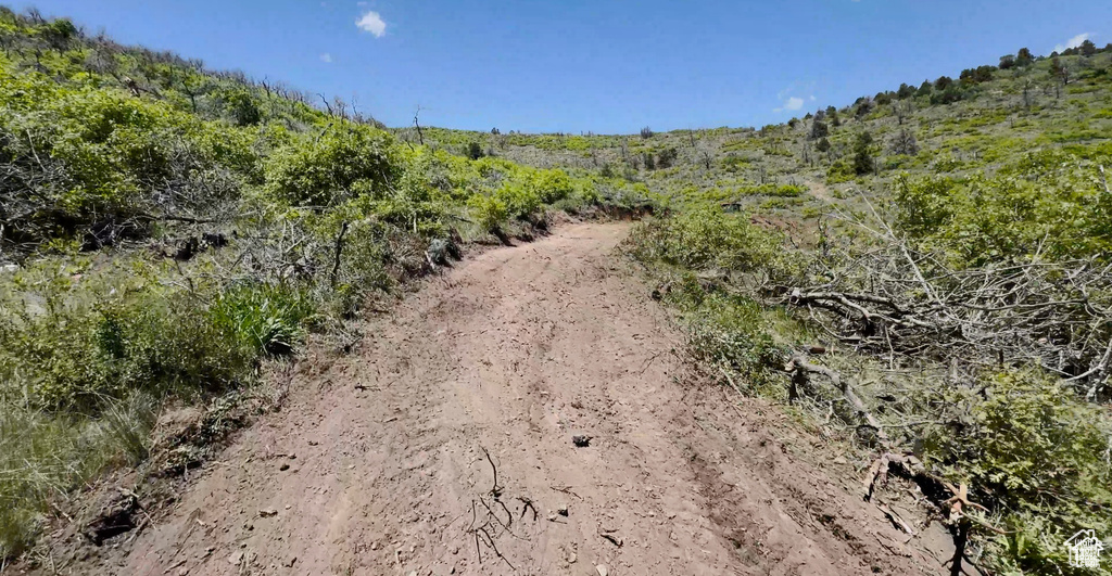 View of undeveloped land
