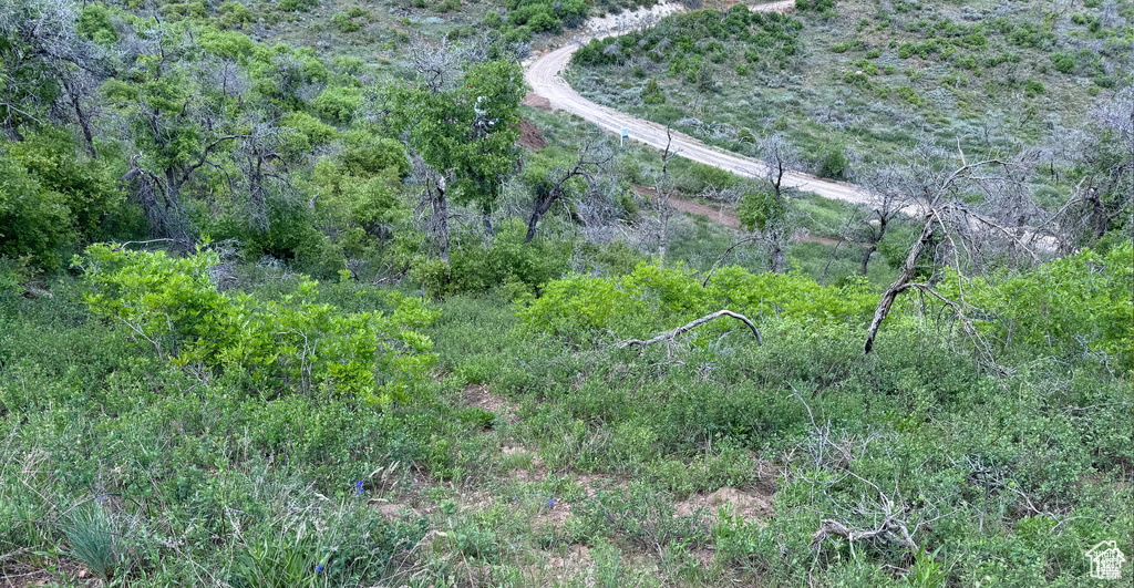 View of undeveloped land