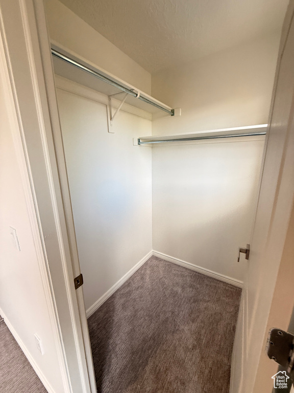 Spacious closet with carpet