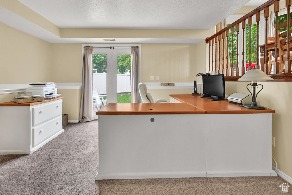 Office space with light carpet, a textured ceiling, and baseboards