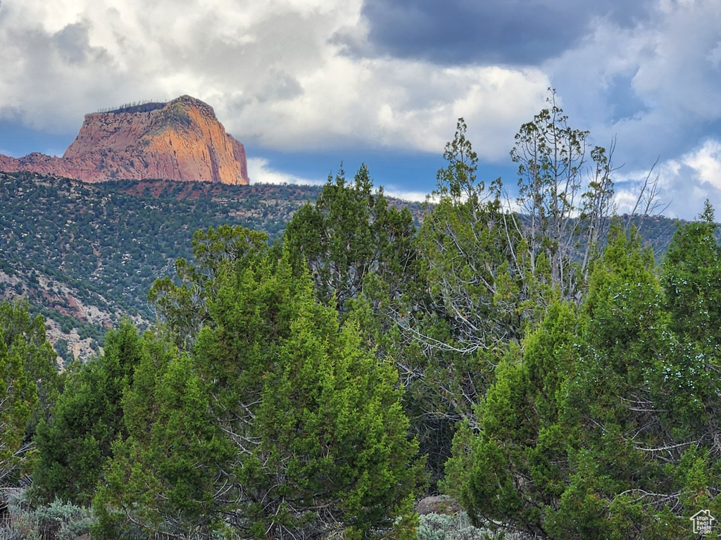 View of mountain background