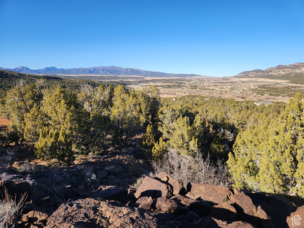 View of mountain background featuring a heavily wooded area