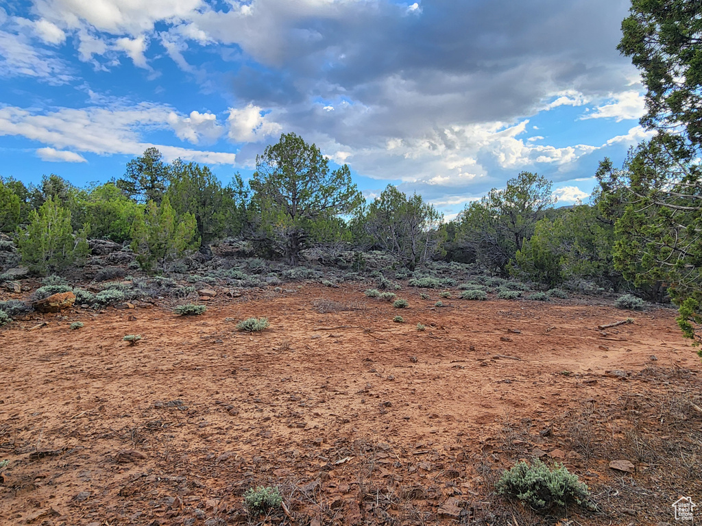 View of undeveloped land