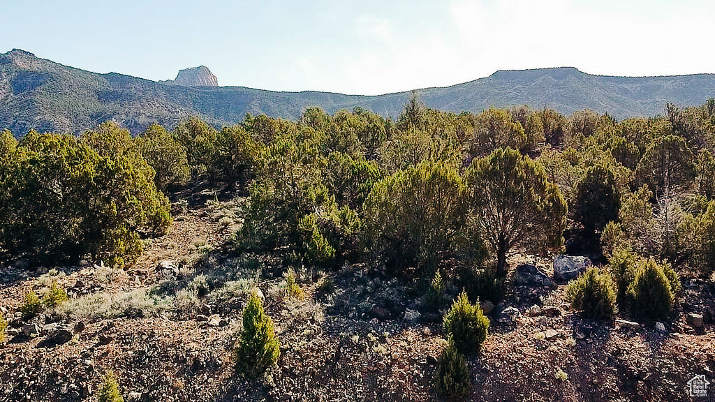 View of mountain background with a heavily wooded area