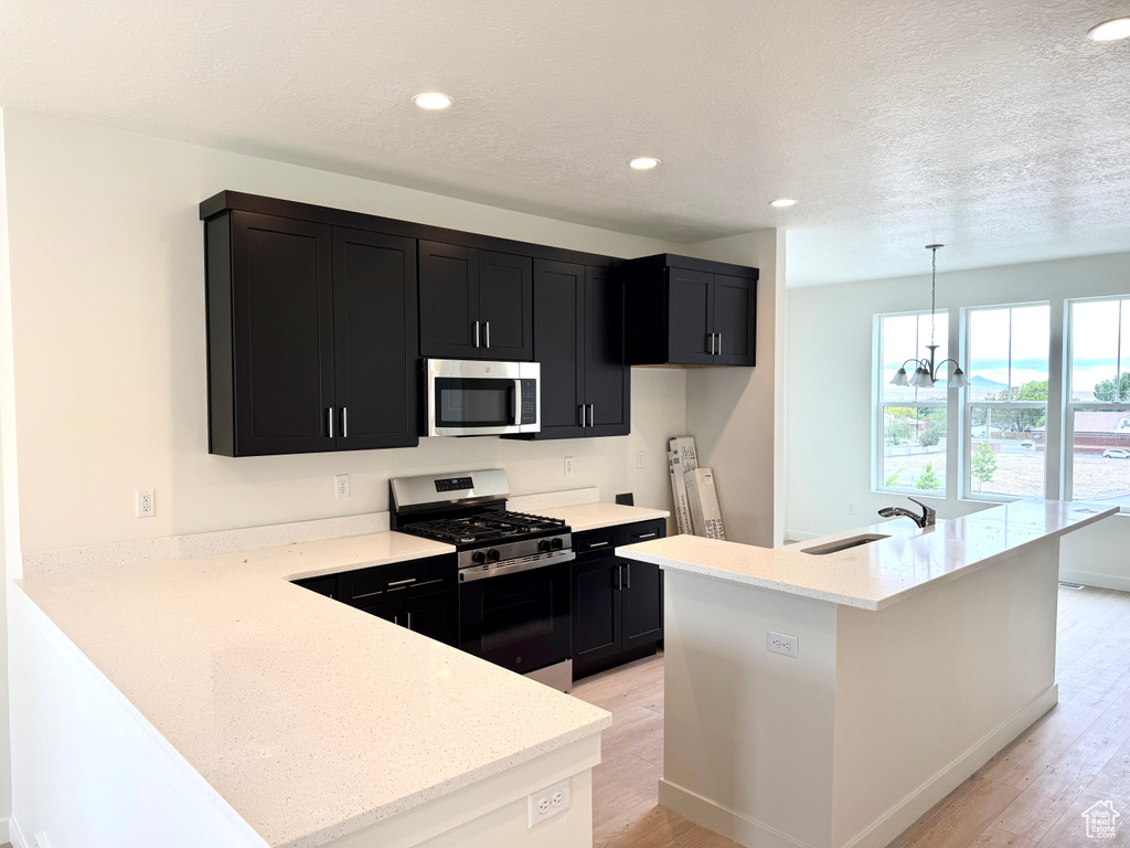 Kitchen with stainless steel appliances, dark cabinets, a sink, light wood-type flooring, and recessed lighting