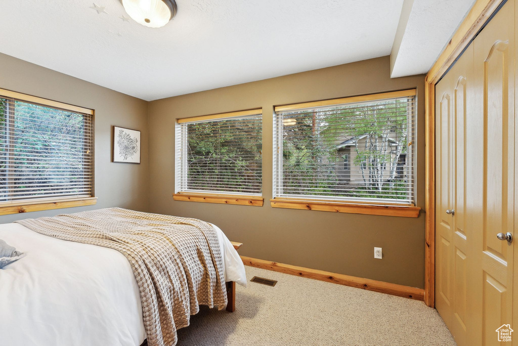 Carpeted bedroom with baseboards and a closet