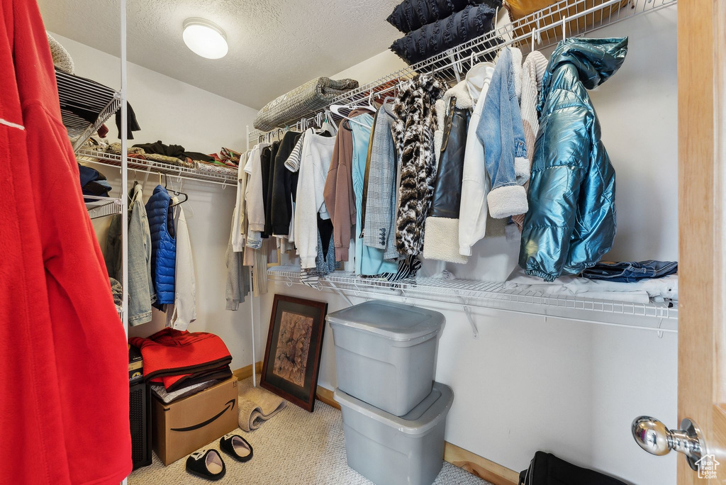 Spacious closet with carpet