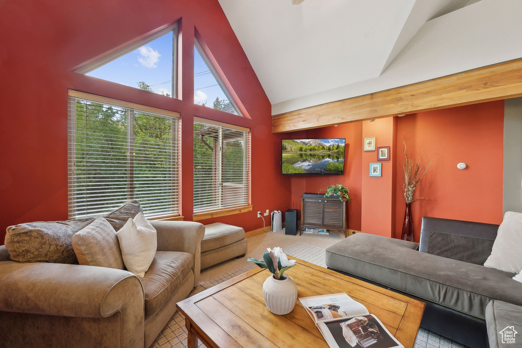 Living room with vaulted ceiling